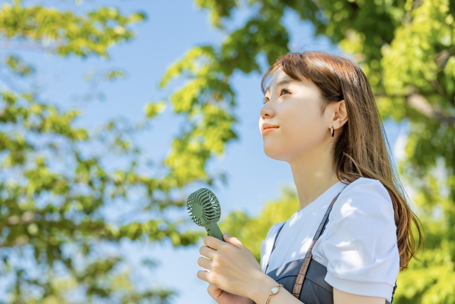 夏
